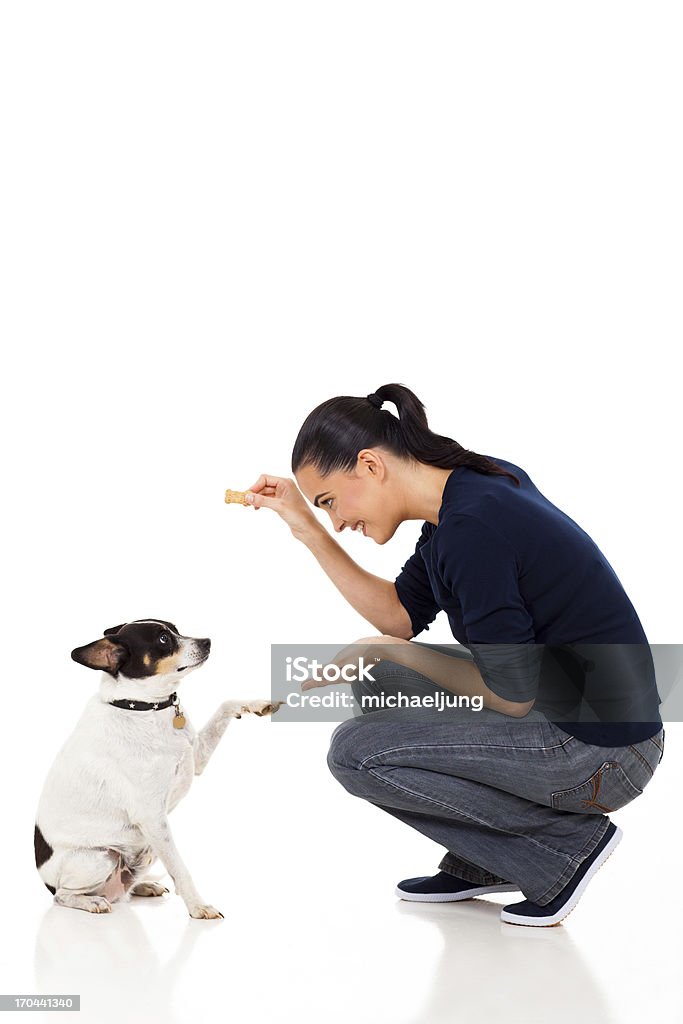 young woman training her dog beautiful young woman training her dog Dog Stock Photo