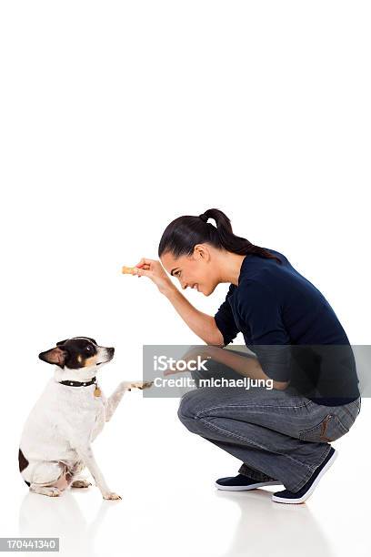 Young Woman Training Her Dog Stock Photo - Download Image Now - Dog, Sports Training, White Background