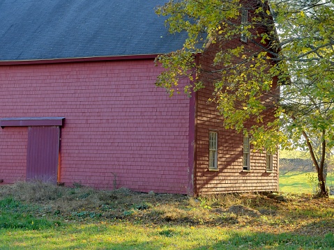 Old white barn with two adjoining silos.  Concepts could include agriculture, family farming, history, other.