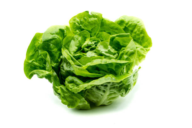 istock Green lettuce isolated on white background 1704427571