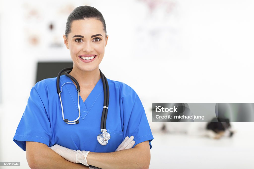 pretty veterinarian modern pretty veterinarian portrait in office Assistant Stock Photo