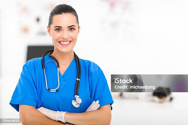 Pretty Veterinarian Stock Photo - Download Image Now - Assistant, Healthcare And Medicine, Veterinarian