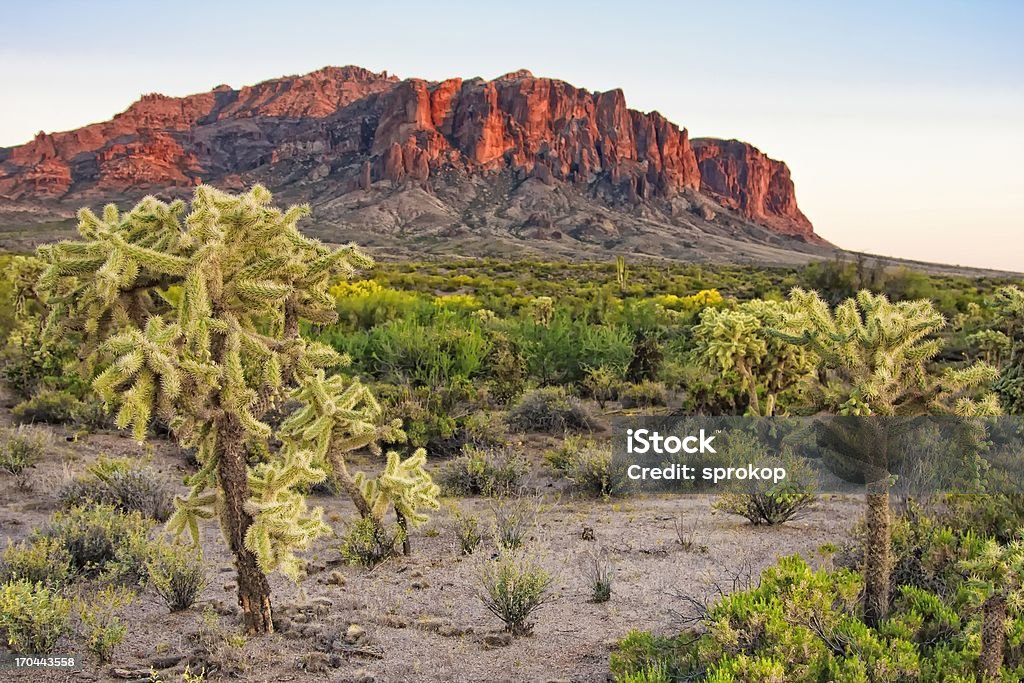 Deserto Mountians - Foto de stock de Arizona royalty-free