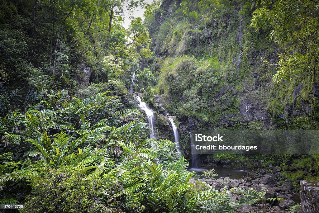 Cascada en Maui Hawaii por el camino de Hana - Foto de stock de Aire libre libre de derechos