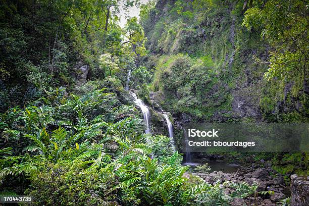 Cascada En Maui Hawaii Por El Camino De Hana Foto de stock y más banco de imágenes de Aire libre - Aire libre, Belleza de la naturaleza, Bosque