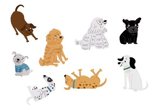 Cute vector set of cartoon dog characters on white. Cute dogs breeds set