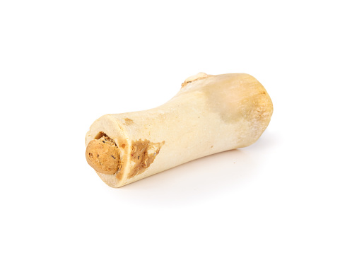 Long lasting medium real cattle bone. For dental health, mental enrichment  for dogs and puppies. Selective focus. White background.