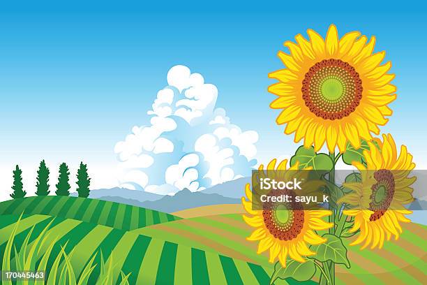 Sonnenblumen In Ländliches Motiv Stock Vektor Art und mehr Bilder von Feld - Feld, Sonnenblume, Agrarbetrieb