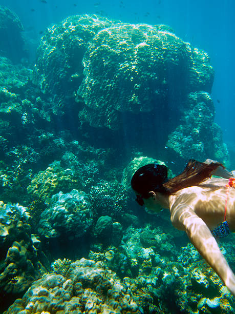 istock The Philippines, Palawan Province, El Nido, coral reef. 170446407