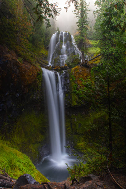 istock Falls Creek Falls in Washington 1704465675