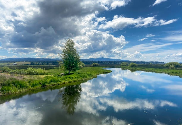 물에 반사 된 푹신한 구름과 함께 푸른 초원을 흐르는 잔잔한 강 - klamath river 뉴스 사진 이미지