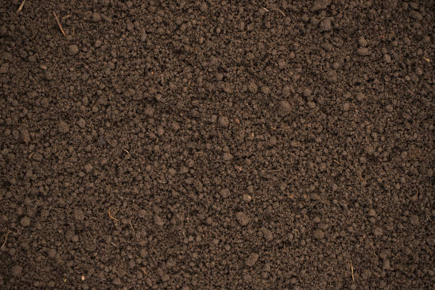 istock fertile soil as a background, plowed land in the garden 1704485556