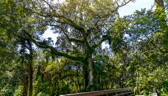 Park in Alamonte springs Florida, near Orlando