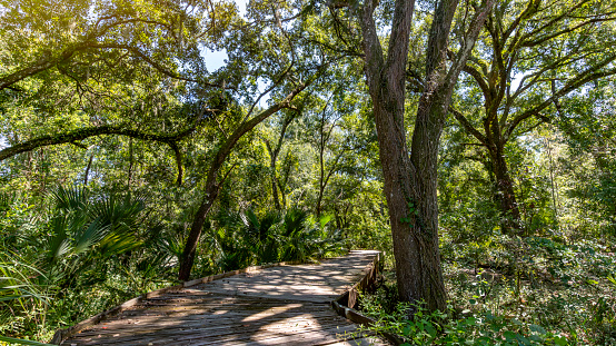 Park in Alamonte springs Florida, near Orlando