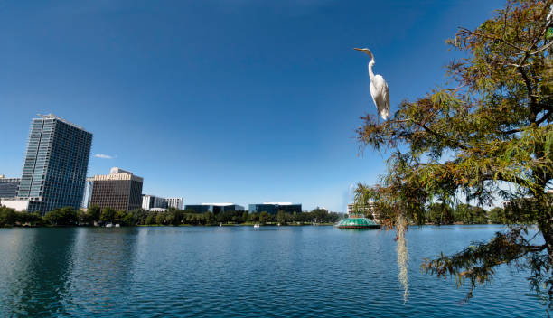 istock Scenic Lake Eola Park in downtown Orlando Florida 1704493119