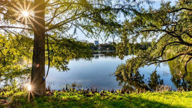 istock Historic Thornton park in Downtown Orlando 1704493667