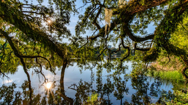 istock Historic Thornton park in Downtown Orlando 1704494202