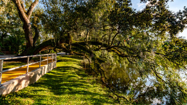 istock Historic Thornton park in Downtown Orlando 1704494204