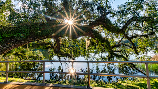 Historic Thornton park in Downtown Orlando