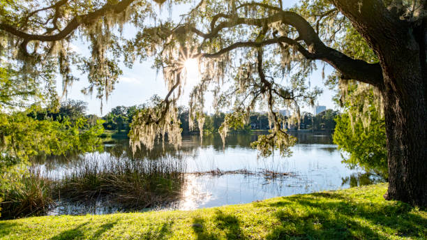 istock Historic Thornton park in Downtown Orlando 1704495276