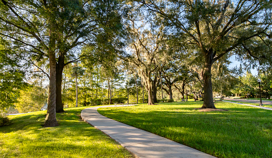 Historic charming Thornton park Orlando