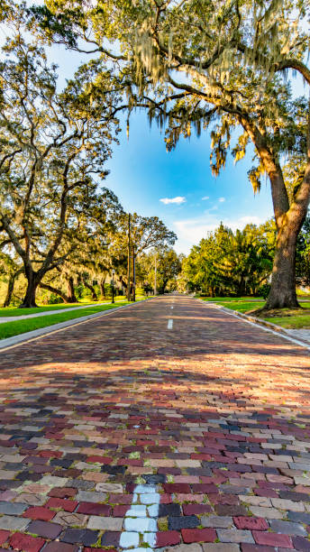 istock Historic Thornton park in Downtown Orlando 1704497476