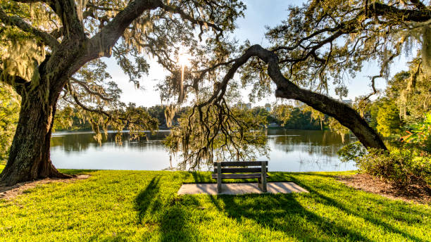 istock Historic Thornton park in Downtown Orlando 1704497486