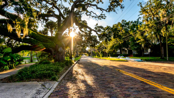 Historic Thornton park in Downtown Orlando