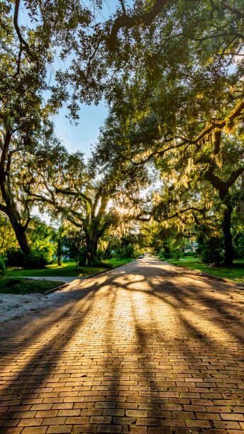 Historic charming Thornton park Orlando