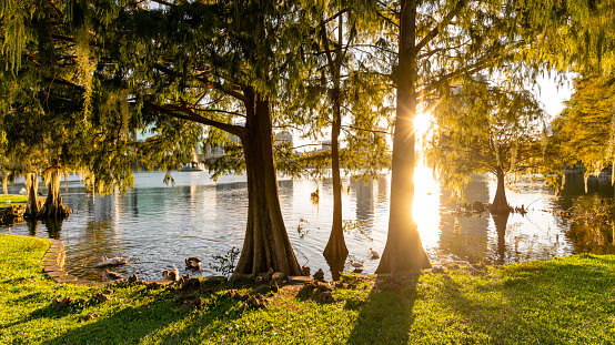 Scenic lake Eola in the heart of Orlando