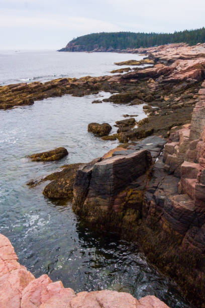istock Rocky coast of Bar Harbor 1704506689