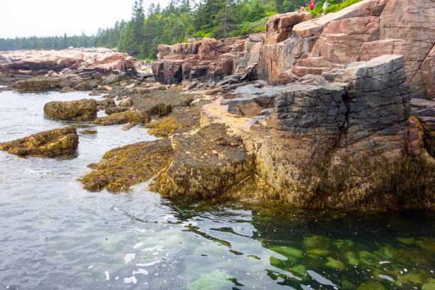 istock Rocky coast of Bar Harbor 1704506690