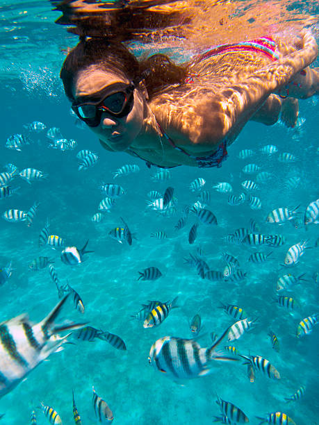 istock The Philippines, Palawan Province, El Nido. 170450688