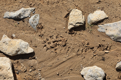 Footprint,\nRead tracks,\nfootpath, sidewalk,\nhiking trail, hiking trail, step, steps, earth, sand, water, puddle,\nmud, dirt, dirty, profile, shoe profile