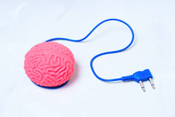 modelo cerebral con un cable de fuente de alimentación conectado - brain network connection plug intelligence artificial model fotografías e imágenes de stock