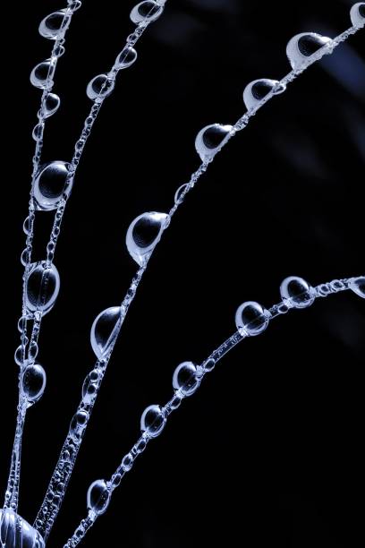 istock creative abstract photo with water droplets 1704514043