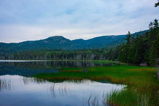 Pond in Acadia National Park. Picture taken on cloudy summer day.