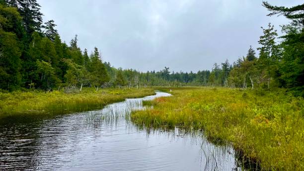 istock Views from a hike around Jordan Pond 1704516181