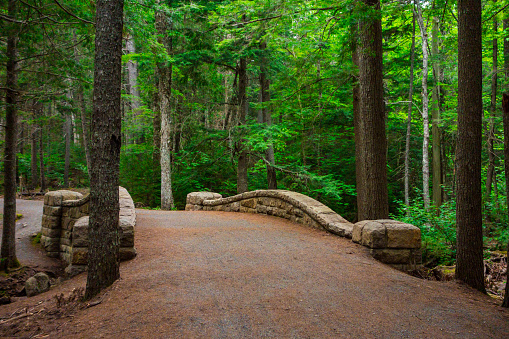 A stone arched bridge in the forest over a creek on the carriage trails in Acadia National Park.