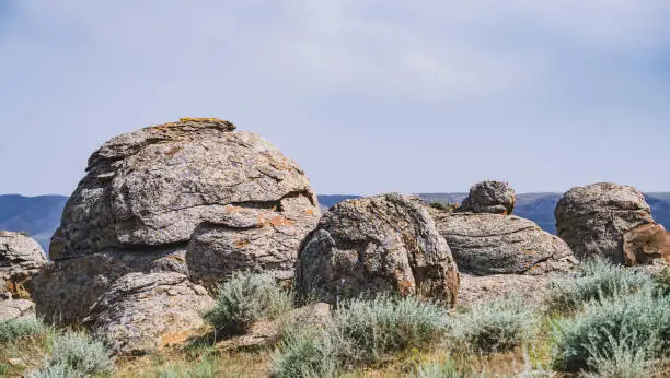 Photo of Unusual spherical shape of stones in the Kazakh steppe Mangistau, valley of balls in nature Torysh