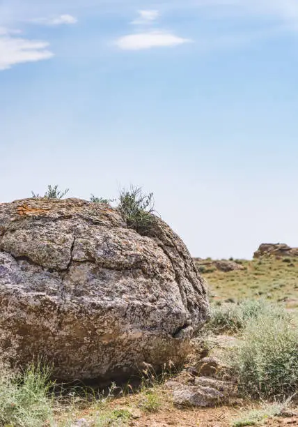 Photo of Unusual spherical shape of stones in the Kazakh steppe Mangistau, valley of balls in nature Torysh