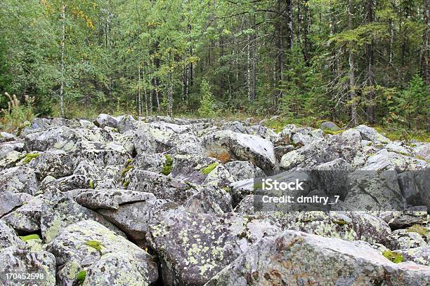 Stone Foto de stock y más banco de imágenes de Abeto - Abeto, Abeto Picea, Aire libre