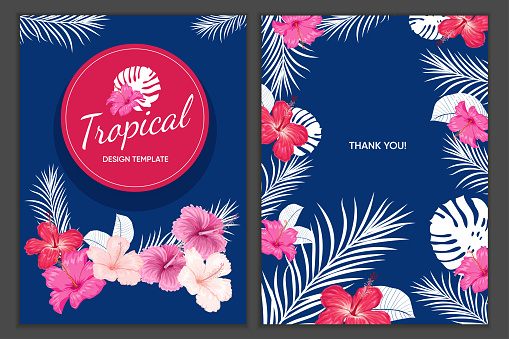 Tropical design template. Red, pink hibiscus flowers with palm leaves in blue and red colors background. Best for party invitations, greeting card designs and flyers. Vector illustration.
