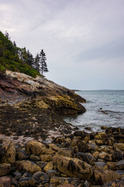 istock Rocky coast of Bar Harbor 1704526507