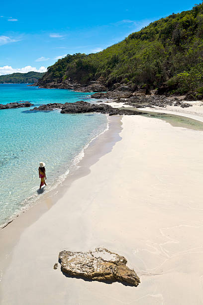 istock The Philippines, Palawan Province, tropical beach. 170452665