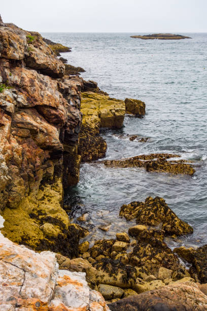 istock Rocky coast of Bar Harbor 1704527045
