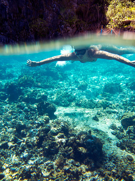 istock The Philippines, Palawan Province, El Nido, coral reef. 170452930