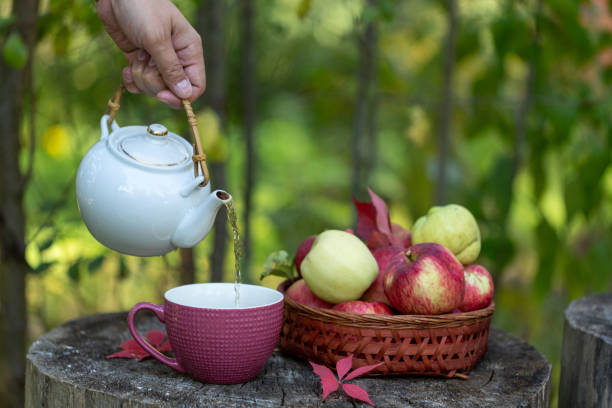 istock A man pours tea into a mug in an apple orchard, a basket with ripe apples 1704532008