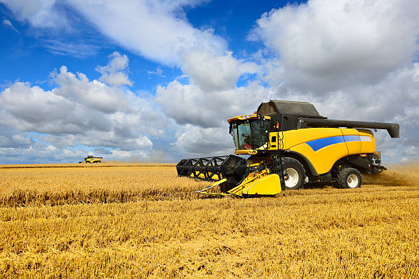 istock Combine harvesters cutting grain in barley field during harvest 170453238