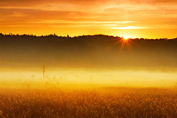 Early morning golden sunshine on mist covered countryside in mist